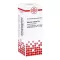 ASTERIAS RUBENS D 6 atšķaidījums, 20 ml