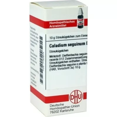 CALADIUM seguinum D 12 globuļu, 10 g