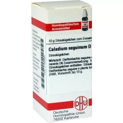 CALADIUM seguinum D 6 globules, 10 g