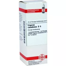 Erigeron Canadensis D6 atšķaidījums (20 ml)