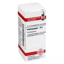HAPLOPAPPUS D 6 lodītes, 10 g