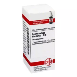 LACHNANTHES tinctoria D 6 lodītes, 10 g