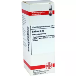 LEDUM C 30 atšķaidījums, 20 ml