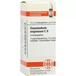 Onosmodium Virg.C9 lodītes (10 g)