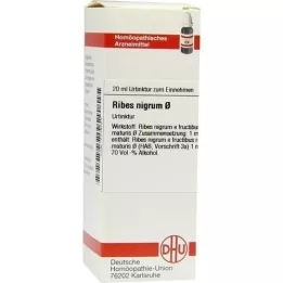 RIBES NIGRUM Mātes tinktūra, 20 ml