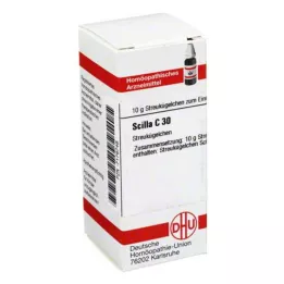SCILLA C 30 bumbiņas, 10 g