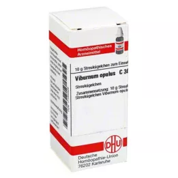VIBURNUM OPULUS C 30 bumbiņas, 10 g