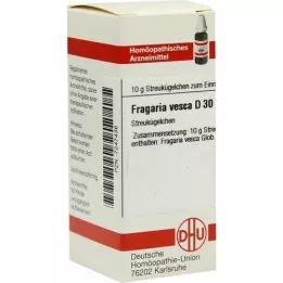 FRAGARIA VESCA D 30 bumbiņas, 10 g