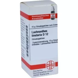 LACHNANTHES tinctoria D 12 lodītes, 10 g