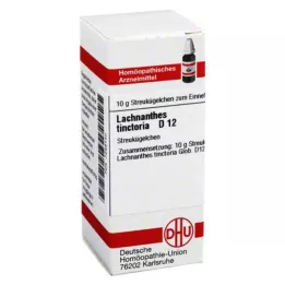 LACHNANTHES tinctoria D 12 lodītes, 10 g