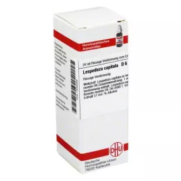 DHU Lespedeza capitata D 6 Atšķaidījums, 20 ml