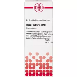 HEPAR SULFURIS LM III Globules, 5 g