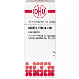 LOBELIA INFLATA D 30 bumbiņas, 10 g