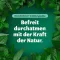 BRONCHOFORTON Ziede, 100 g