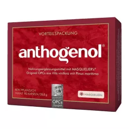 OPC ORIGINAL Masqueliers Anthogenol kapsulas, 90 kapsulas