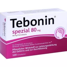 TEBONIN īpašas 80 mg apvalkotās tabletes, 120 gab