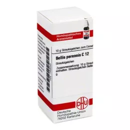 BELLIS PERENNIS C 12 bumbiņas, 10 g
