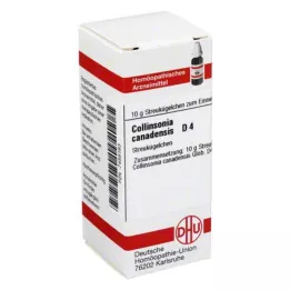 COLLINSONIA CANADENSIS D 4 globules, 10 g