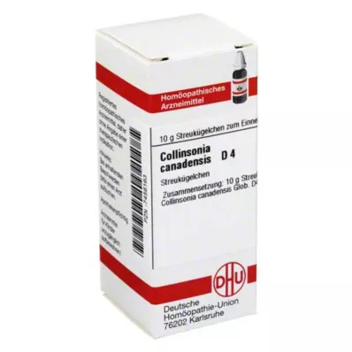 COLLINSONIA CANADENSIS D 4 globules, 10 g