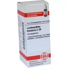 LACHNANTHES tinctoria C 30 bumbiņas, 10 g