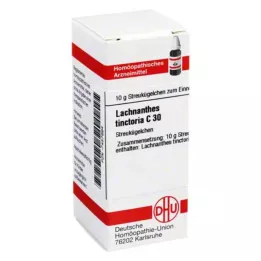 LACHNANTHES tinctoria C 30 bumbiņas, 10 g