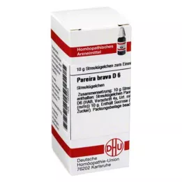 PAREIRA BRAVA D 6 lodītes, 10 g