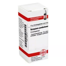 SYZYGIUM JAMBOLANUM D 6 lodītes, 10 g