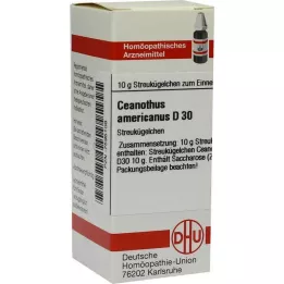 DHU Ceanothus americanus D 30 globulas, 10 g