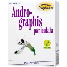 ANDROGRAPHIS paniculata kapsulas, 60 gab