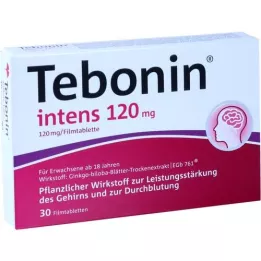 TEBONIN intens 120 mg apvalkotās tabletes, 30 gab