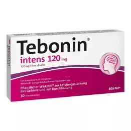 TEBONIN intens 120 mg apvalkotās tabletes, 30 gab