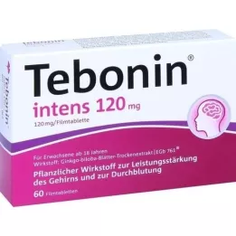 TEBONIN intens 120 mg apvalkotās tabletes, 60 gab