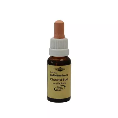 Baha ziedi Murnauer pilieni Chestnut Bud, 20 ml Baha ziedi Murnauer pilieni Chestnut Bud, 20 ml