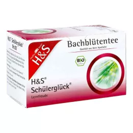 H&amp;S Bacha ziedu skolēnu laimes tējas maisiņš, 20X3,0 g
