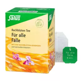 BACHBLÜTEN TEE Visiem gadījumiem organiskās Salus filtru plāksnītes, 15 gab