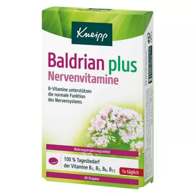 Kneipa baldriāna plus nervu vitamīnu dražejas, 40 gab