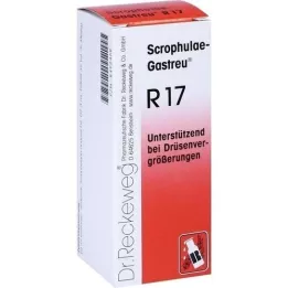 SCROPHULAE-Gastreu R17 maisījums, 50 ml