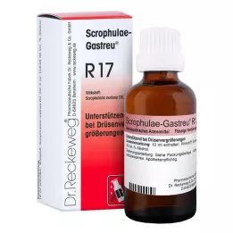 Scrophulae Gastreu R 17 iekšķīgi lietojami pilieni, 50 ml