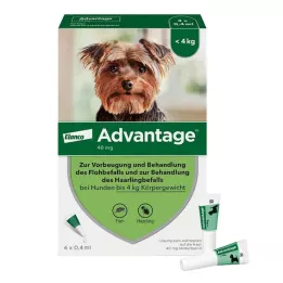 ADVANTAGE 40 šķīdums suņiem līdz 4 kg, 4 gab