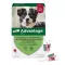 ADVANTAGE 250 šķīdums suņiem 10-25 kg, 4 gab