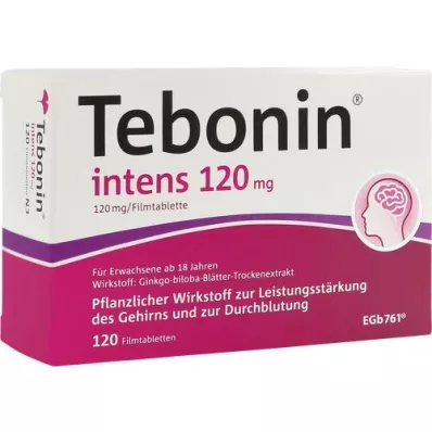 TEBONIN intens 120 mg apvalkotās tabletes, 120 gab