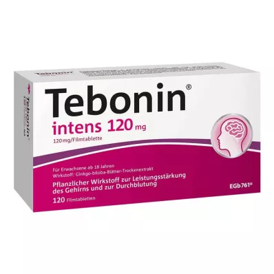 Tebonin intens 120 mg apvalkotās tabletes, 120 gab