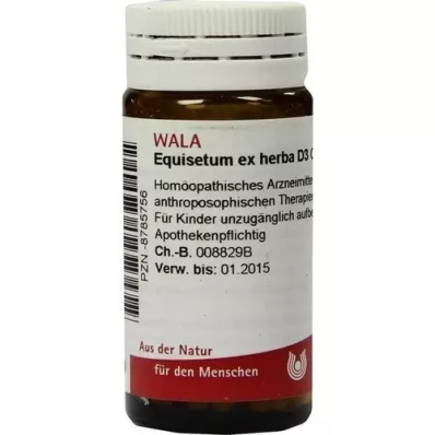 EQUISETUM EX Herba D 3 globules, 20 g