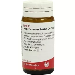 HYPERICUM EX Herba D 6 globules, 20 g