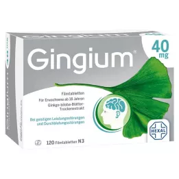 GINGIUM 40 mg apvalkotās tabletes, 120 gab