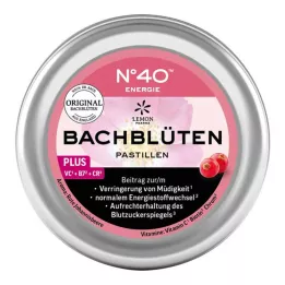 ENERGIE BACHBLÜTENPASTILLEN pēc Dr. Bacha teiktā, 50 g