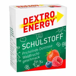 DEXTRO ENERGY Schulstoff meža augļu tabletes, 50 g