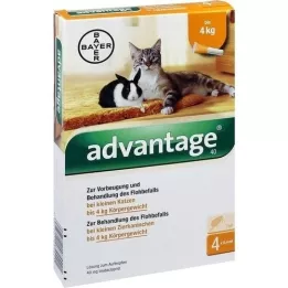 ADVANTAGE 40 mg šķīdums maziem kaķiem/maliem dekoratīvajiem trušiem, 4X0,4 ml