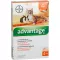 ADVANTAGE 40 mg šķīdums maziem kaķiem/maliem dekoratīvajiem trušiem, 4X0,4 ml