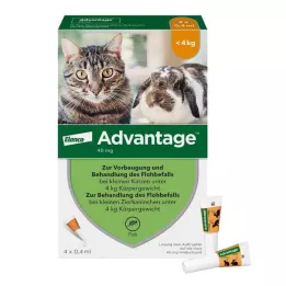 ADVANTAGE 40 mg šķīdums maziem kaķiem/maliem dekoratīvajiem trušiem, 4X0,4 ml